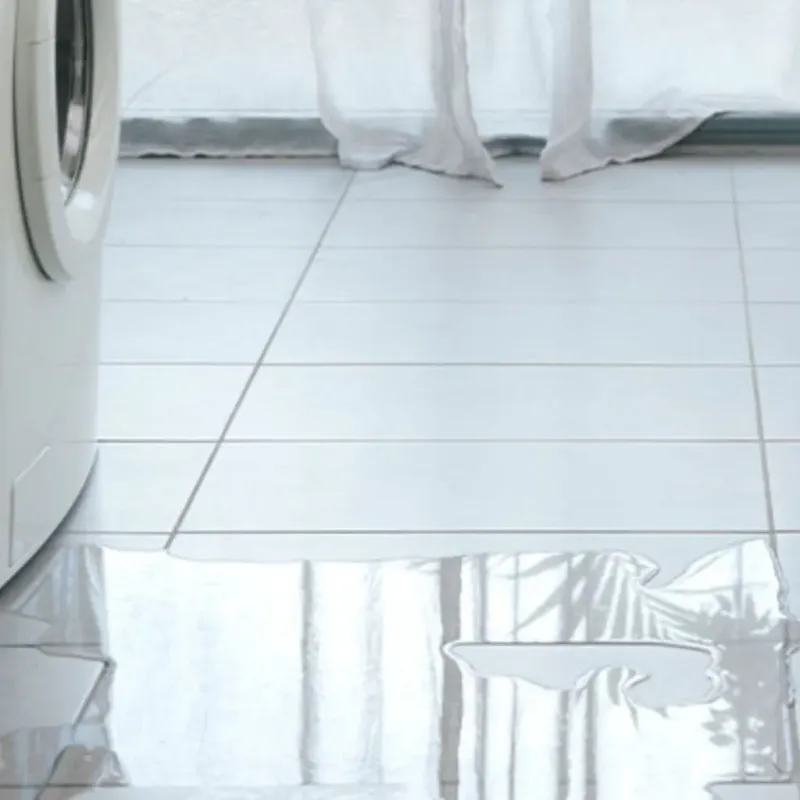 Appliance Leak Cleanup in Maryville, IL