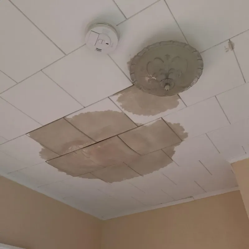 Ceiling Water Damage Repair in Maryville, IL