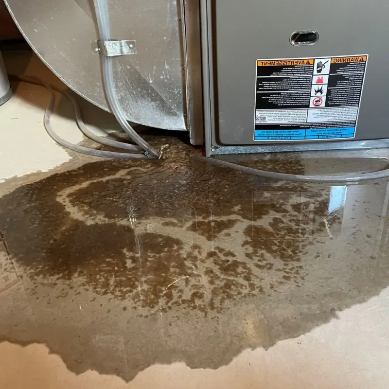 Pipe Burst and Leak Restoration in Maryville, IL