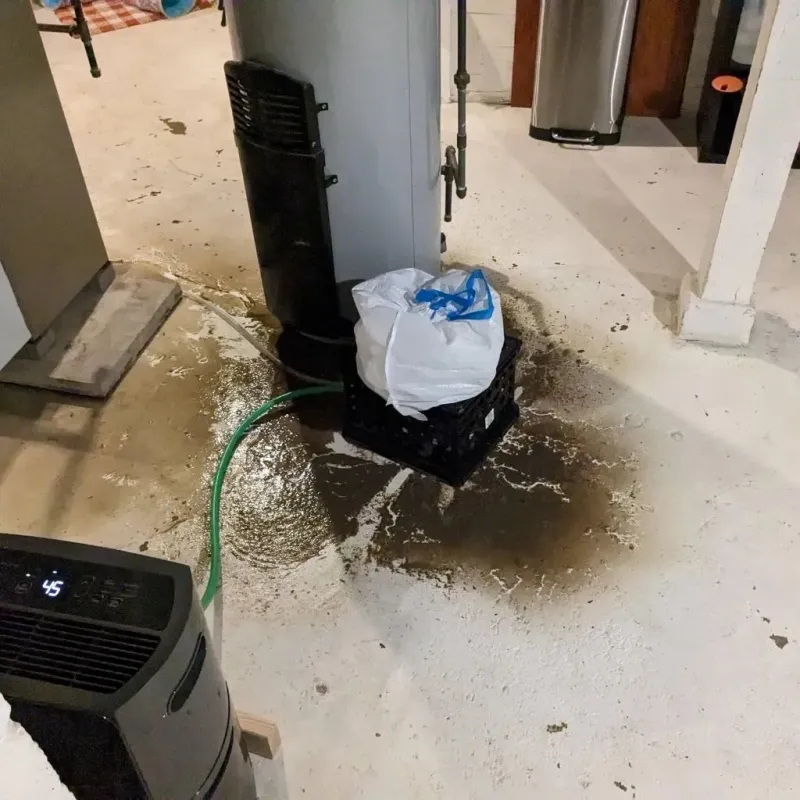 Sewage Backup Cleanup Service in Maryville, IL